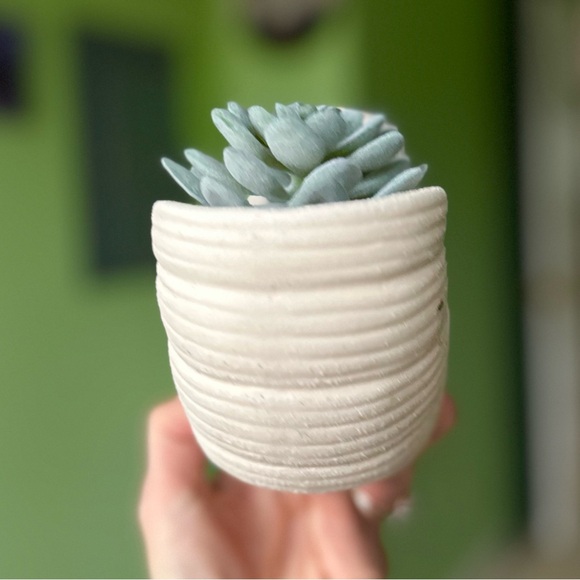 Rustic Nautical Pottery Spiral Structure Seashell Faux Succulent Planter Art - Picture 5 of 10